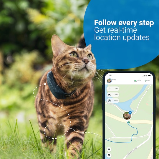 Tractive GPS tracker katt CAT LTE kattesporer (blå) - Elkjøp