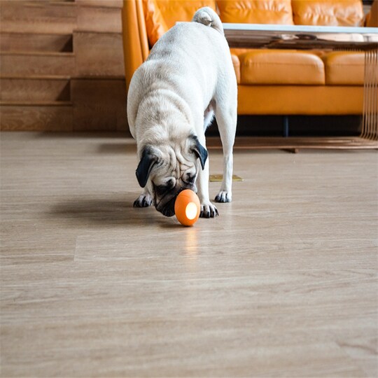 Wicked Ball interaktiv lekeball for katter/små hunder Orange - Elkjøp