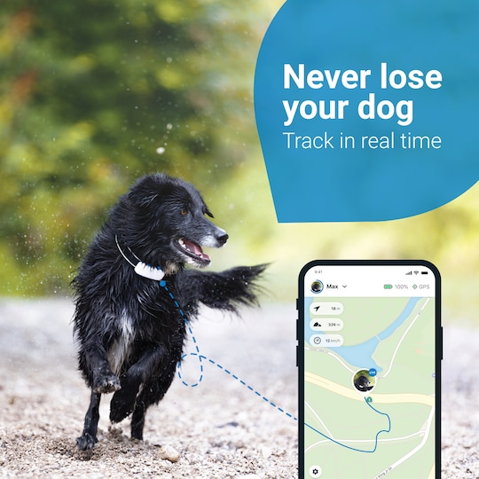 Tractive Dog LTE GPS tracker hund - Elkjøp