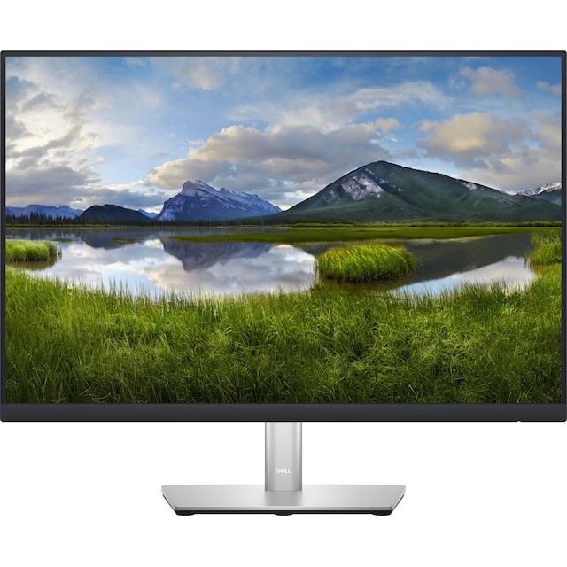 Dell P2423 24" skærm