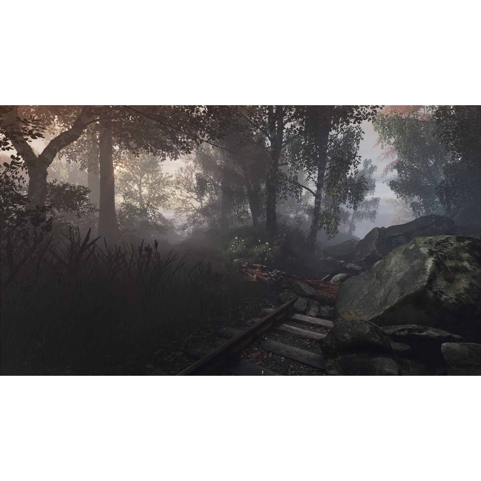 The Vanishing of Ethan Carter - PC Windows