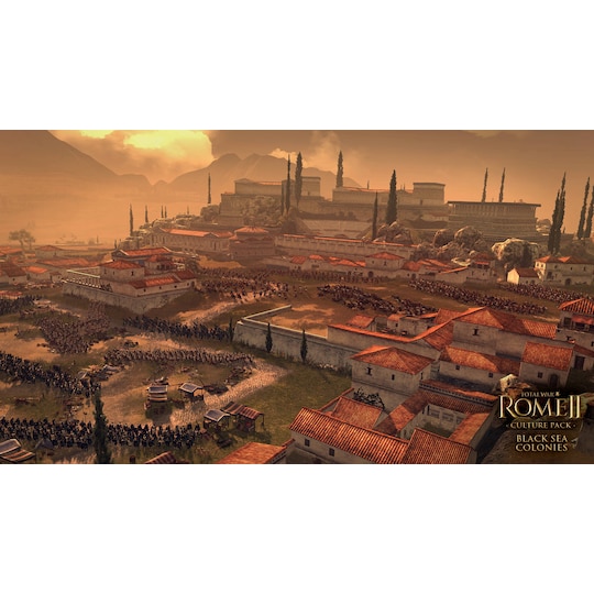 Total War ROME II - Black Sea Colonies Culture Pack - PC Windows - Elkjøp