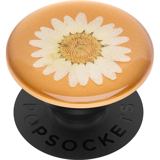 Popsockets Premium grep t. mobile enheter (pressed flower white daisy)
