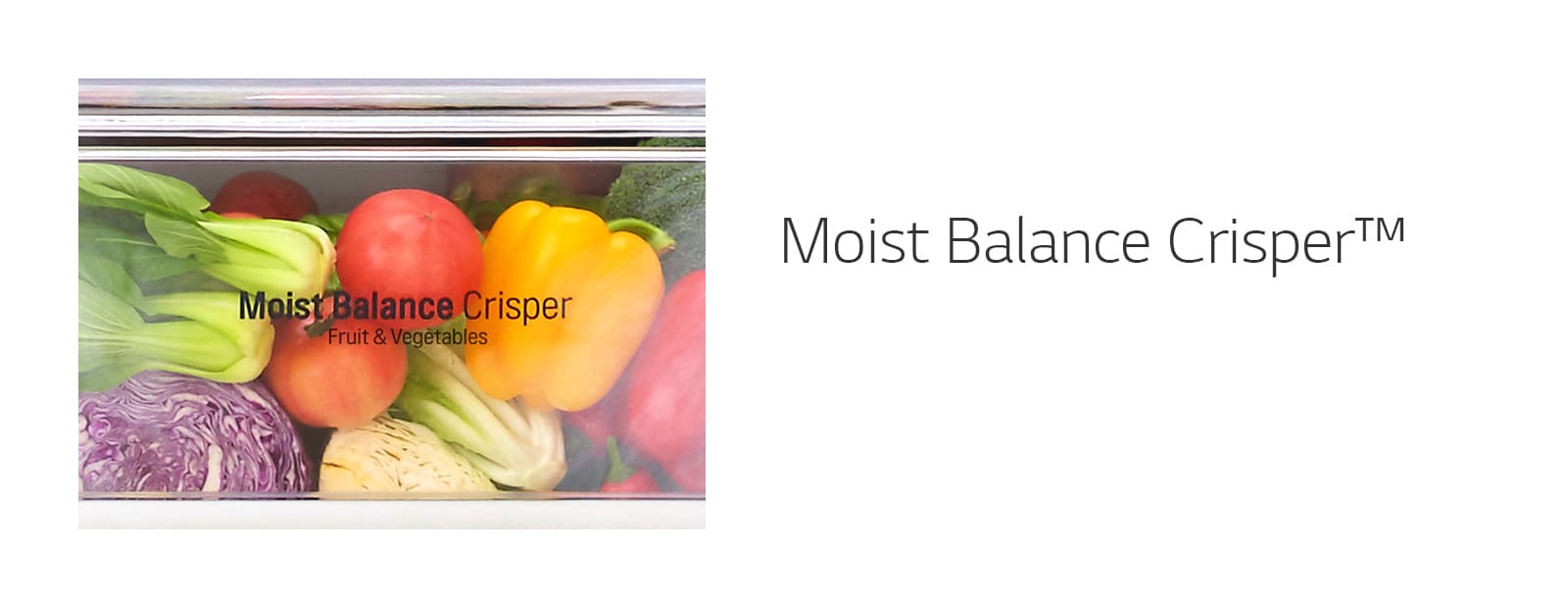 Moist Balance Crisper™