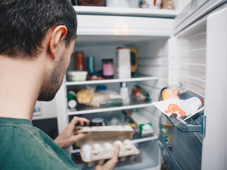 Kjøleskap: Guider og artikler | Elkjøp