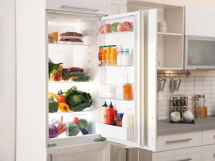 Guide - Hva du bør tenke på før du kjøper et integrert kjøleskap | Elkjøp