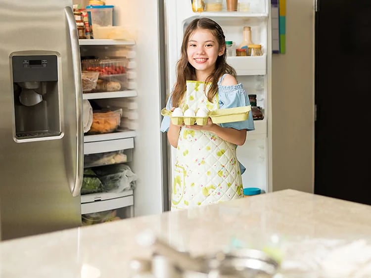 Kjøleskap og fryser - ordliste over viktige funksjoner | Elkjøp